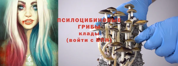 apvp Ладушкин
