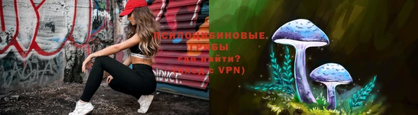 apvp Ладушкин