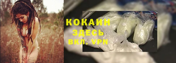 ПСИЛОЦИБИНОВЫЕ ГРИБЫ Лагань