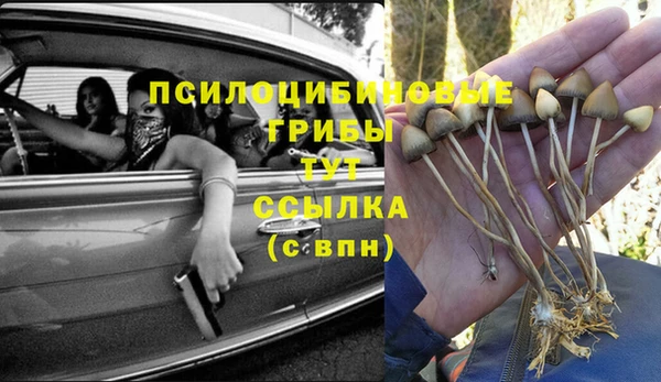 герыч Липки
