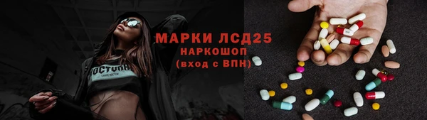 ПСИЛОЦИБИНОВЫЕ ГРИБЫ Лагань