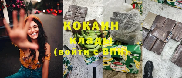 ПСИЛОЦИБИНОВЫЕ ГРИБЫ Лагань