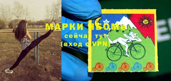 шишки Лихославль