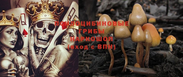Альфа ПВП Лабытнанги