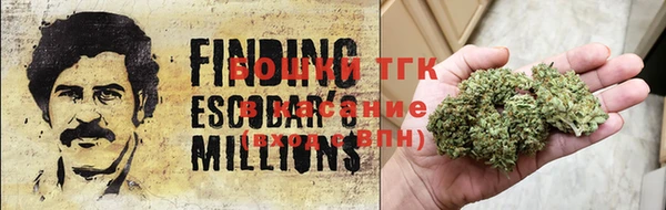 шишки Лихославль