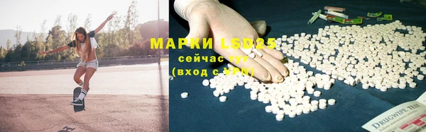 ПСИЛОЦИБИНОВЫЕ ГРИБЫ Лагань