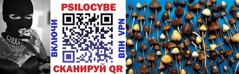 Псилоцибиновые грибы мицелий Устюжна